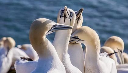 世界杯高清观看平台-哈登归队首次接受采访！态度模糊 对交易避而不谈