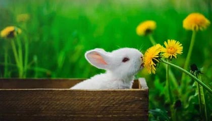 世界杯高清观看平台-中超争冠各队“诚”待球迷